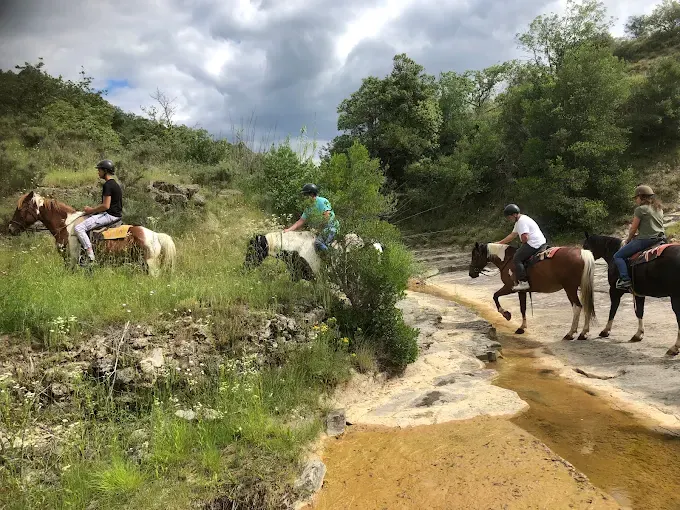 Paard- en ponyrijden